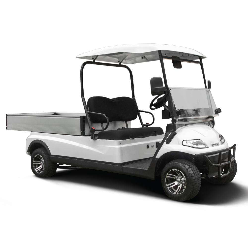 ECAR 627.H8 2 Seat Golf Cart